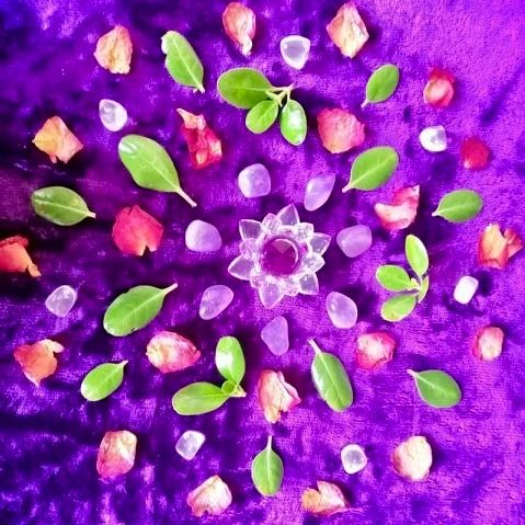Grid of flowers, leaves, and crystals on a purple fabric background