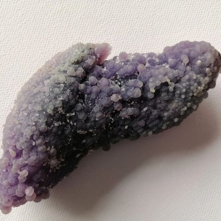 Raw Manakara on a white background