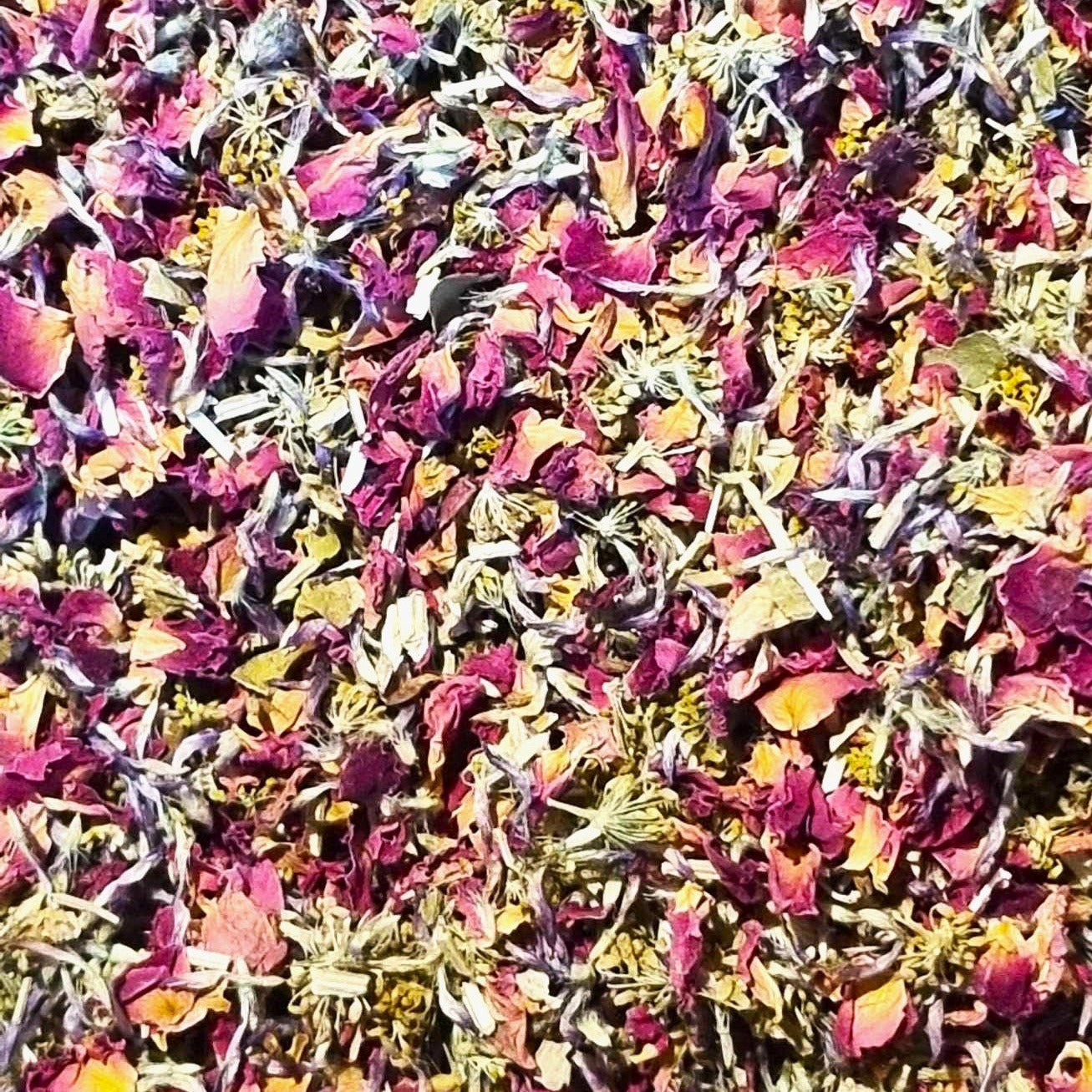 Colorful dried flower petals scattered on a surface
